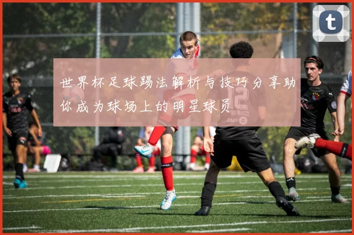 世界杯足球踢法解析与技巧分享助你成为球场上的明星球员