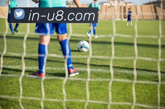 U8国际平台生态图